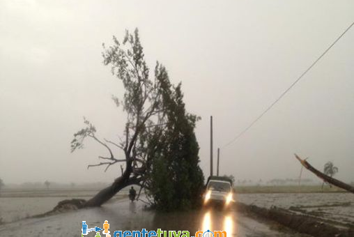  Montecristi: fuertes lluvias con vientos y granizos afectaron la zona de Villa Vásquez 